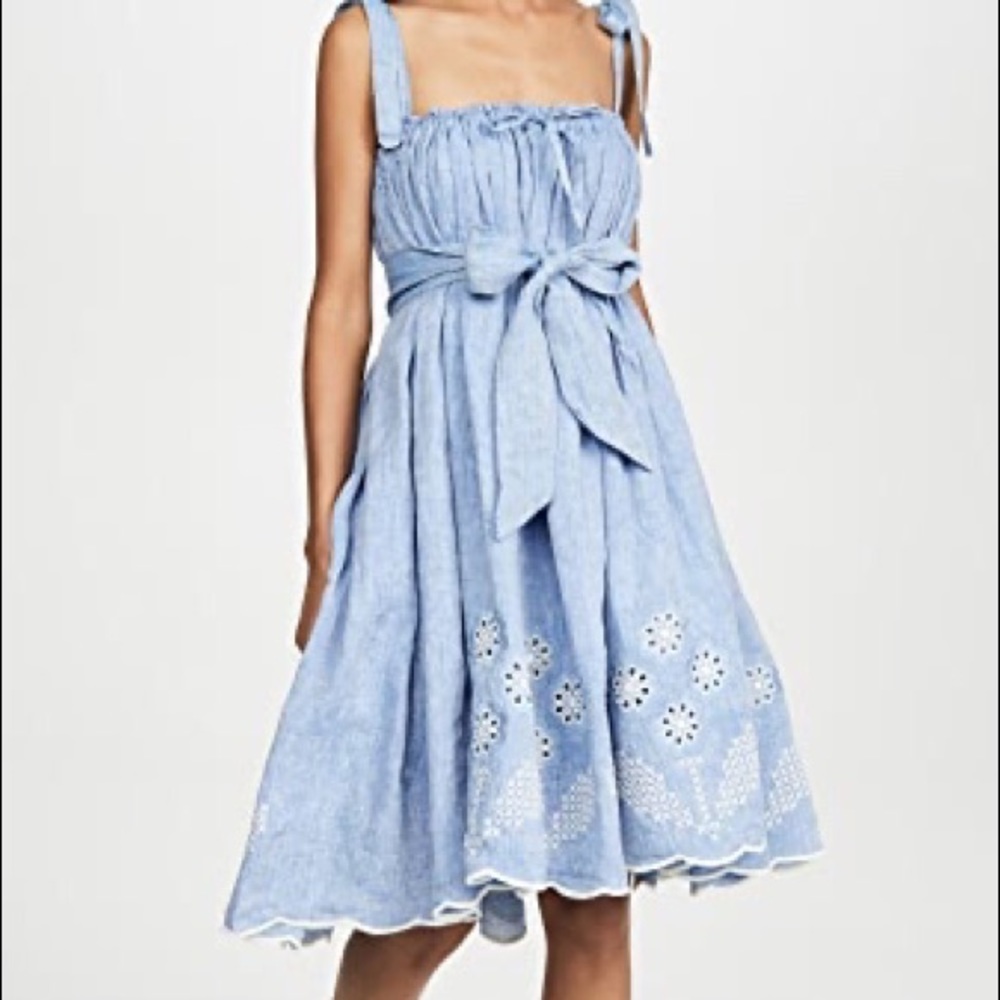 NWTS! Innika Choo Nev Erontym Dress Size Small!